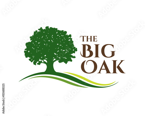 the big oak