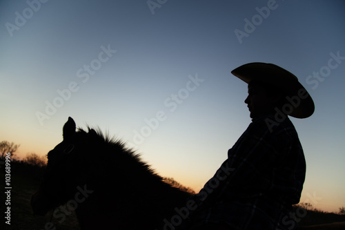 Texas Cowboy on a horse