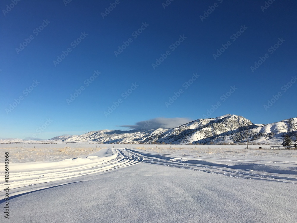 A Long Snowy Driveway in Montana
