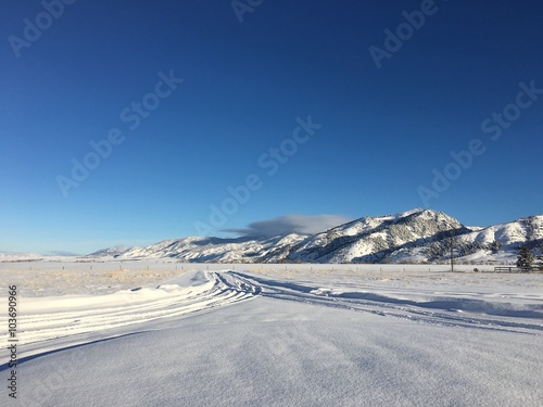 A Long Snowy Driveway in Montana