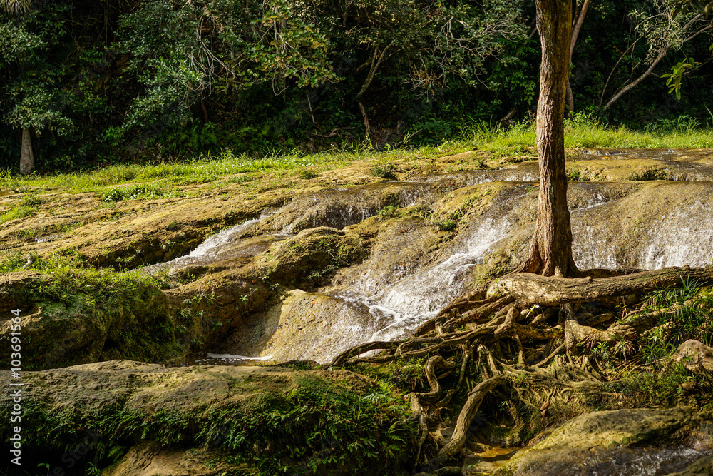 small waterfall by the tree small waterfall by the tree