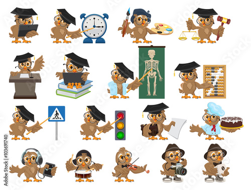 Big set owl teacher. Cartoon bird teacher