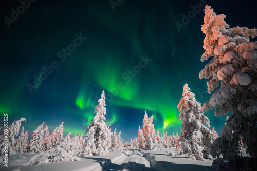 Fotografie, Obraz Zimní noční krajina s lesem, silniční a severní světla na scénu