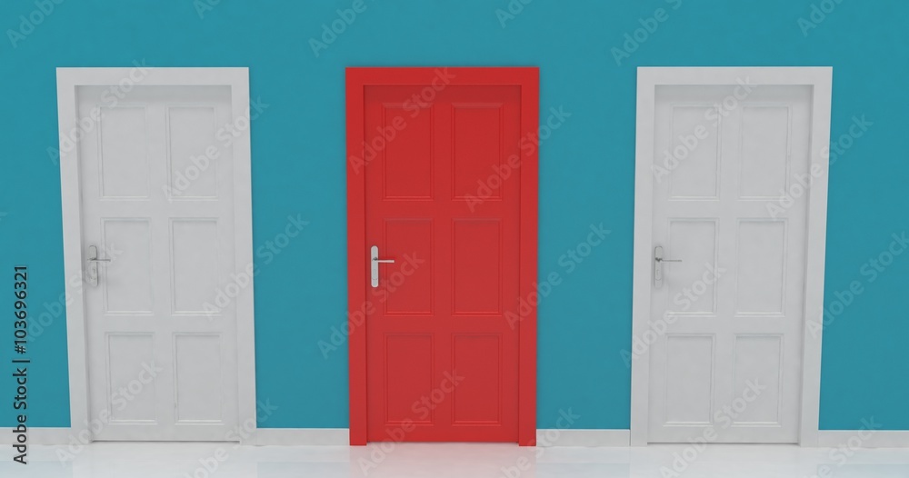 3d door render vote concept