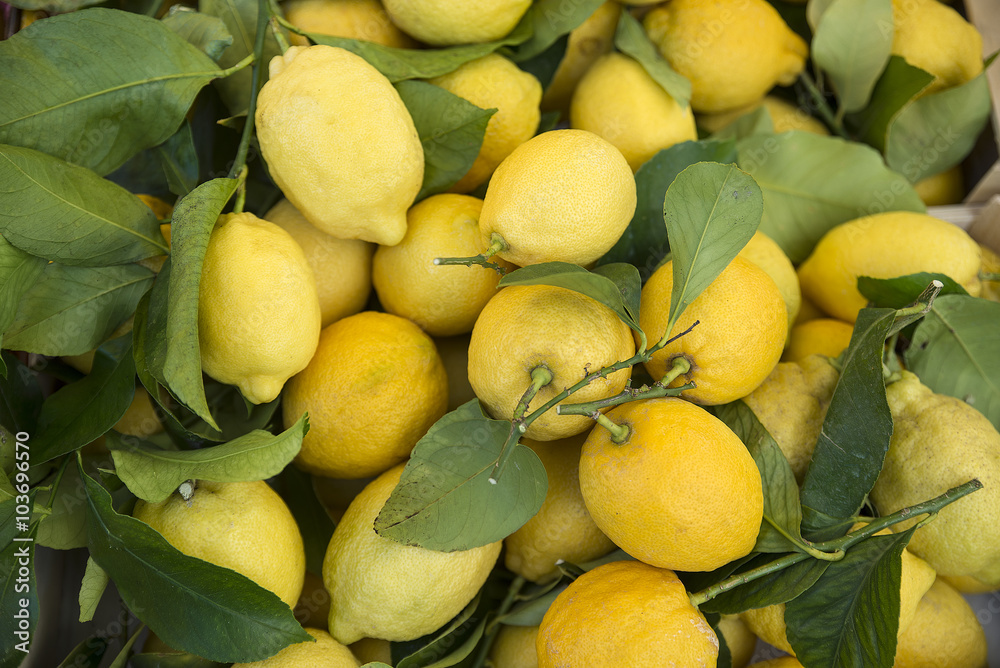 basket of lemons