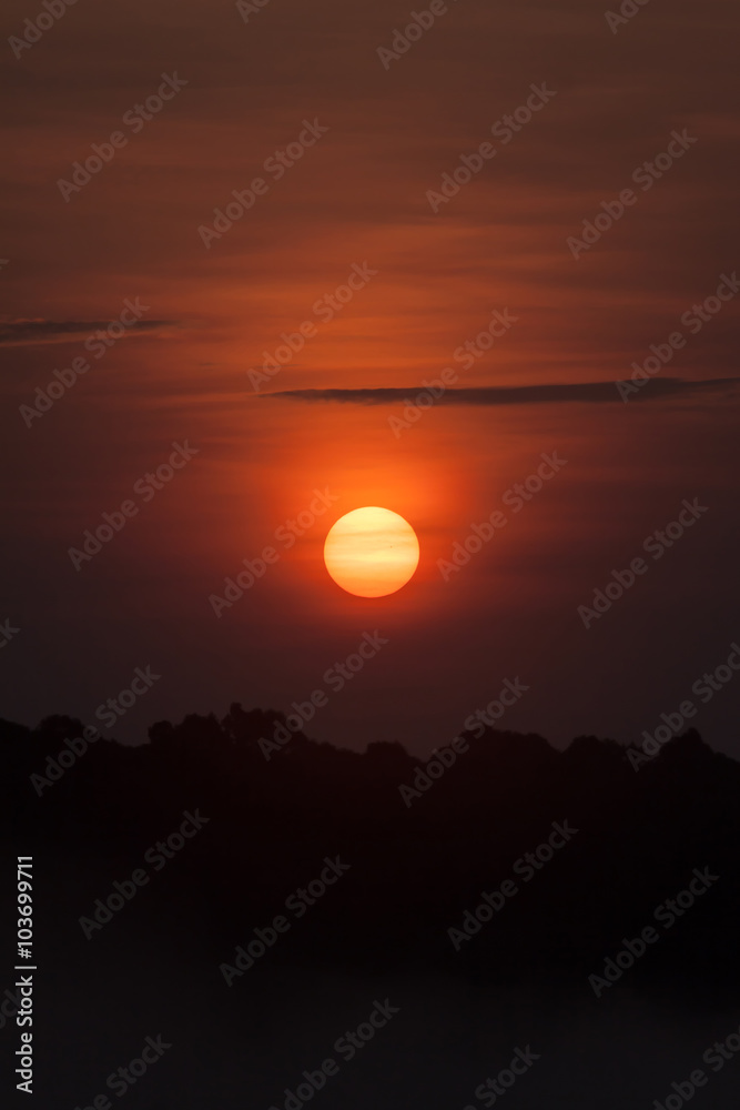 The sun in the morning. The sun in the morning.