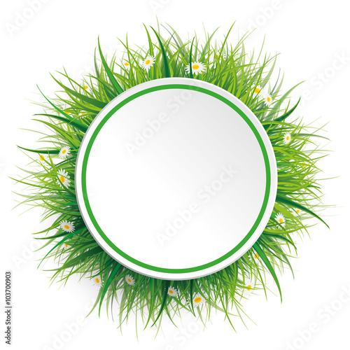 Circle Green Grass Flowers
