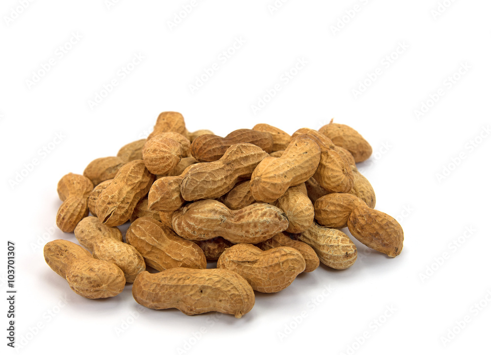 Erdnüsse - Arachis hypogaea, Peanuts Erdnüsse - Arachis hypogaea, Peanuts
