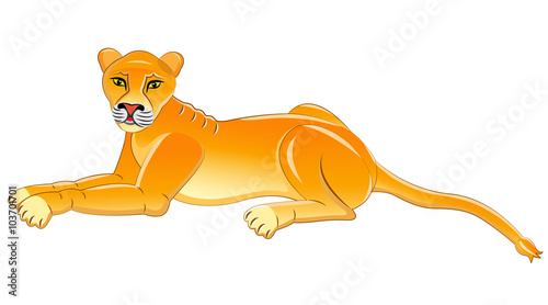 Lioness. Isolated animal. Vector illustration.