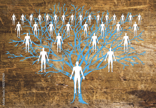 family tree