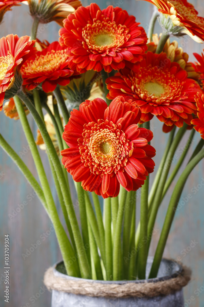 Bouquet of orange gerbera daisies