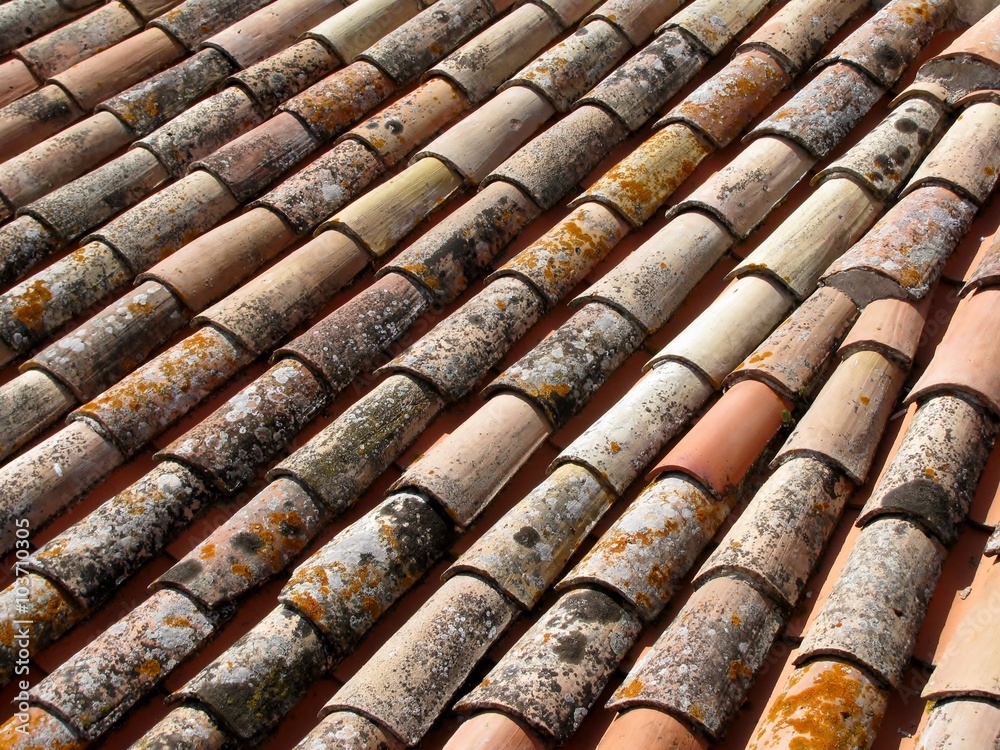 Clay roof tiles with mold and mildew Clay roof tiles with mold and mildew
