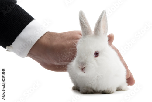 Male Hand Pets Bunny