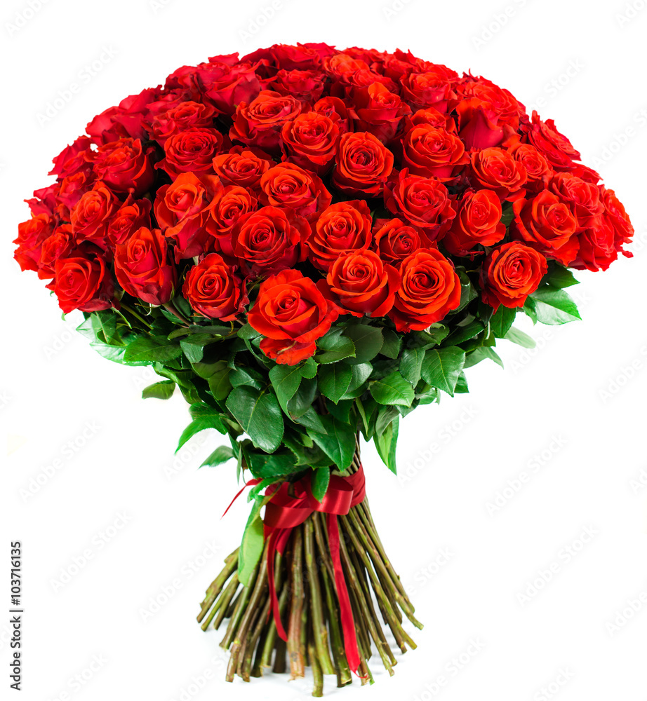 Obraz premium bukiet 101 jasnoczerwona róża na białym tle