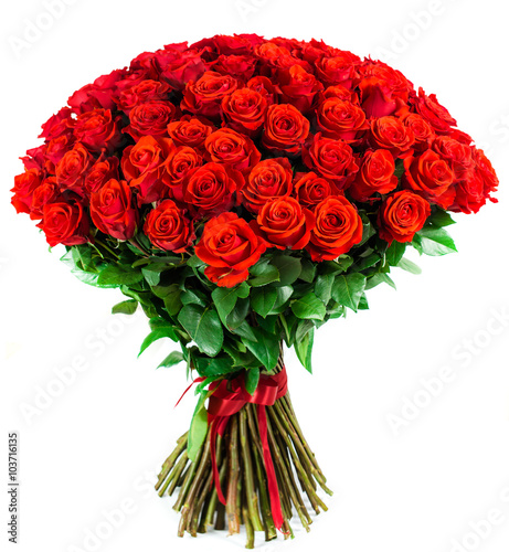 bouquet of 101 bright red rose on a white background
