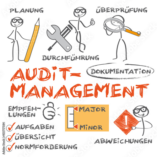 Audit Management - Überprüfung