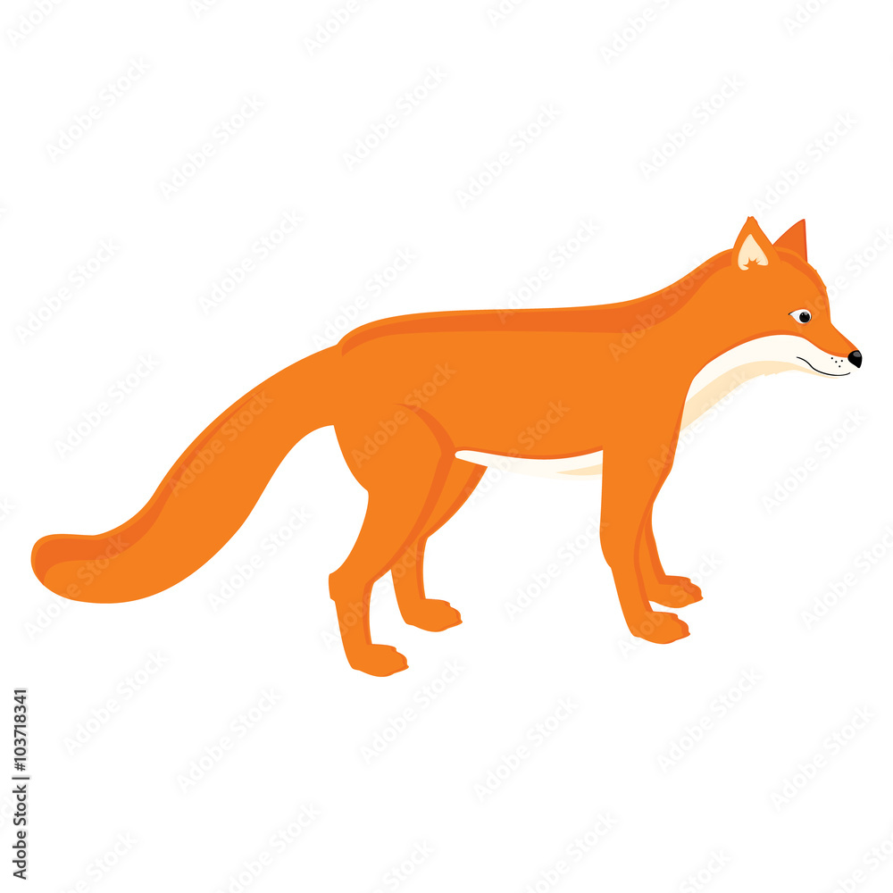 Cartoon red fox Cartoon red fox
