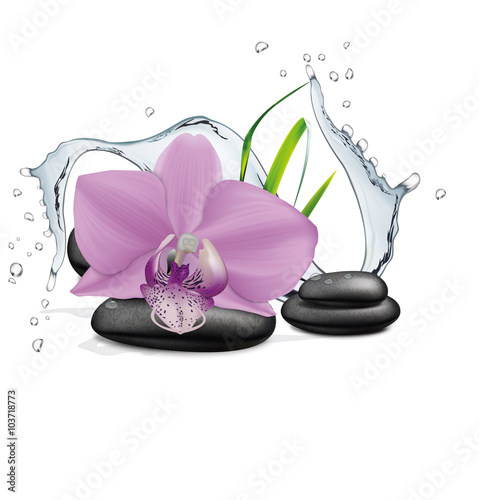 Fototapeta Naklejka Na Ścianę i Meble -  Orchid flower, water splash and zen stone. Vector illustration