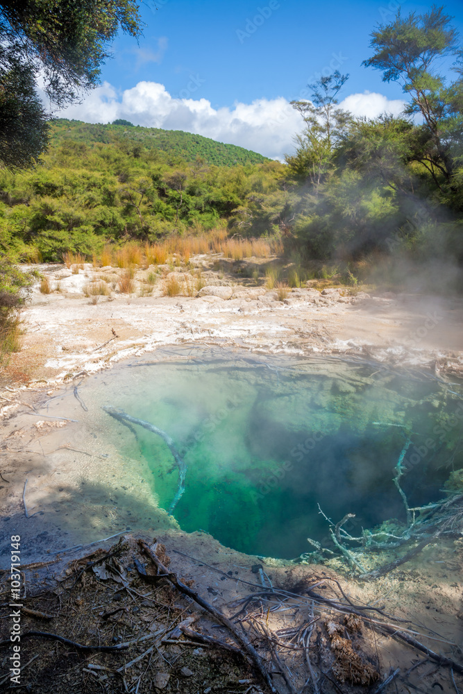 Hot pool at Tokaanu Thermal Area in New Zealand Hot pool at Tokaanu Thermal Area in New Zealand