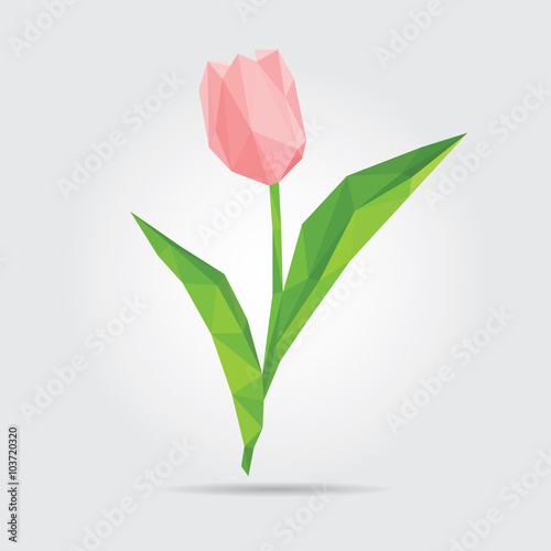 Fototapeta Naklejka Na Ścianę i Meble -  Polygonal Flower Tulip. Pink Tulip in Vector
