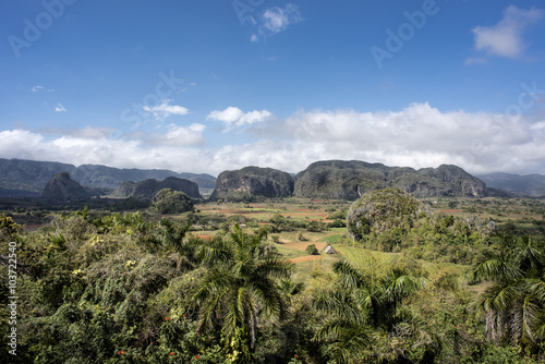Kuba  Westkuba  Valle de Vinales  Mogotes  Panorama Blick mit ber  hmten Bergen  Landschaft  Palmen und Bergen