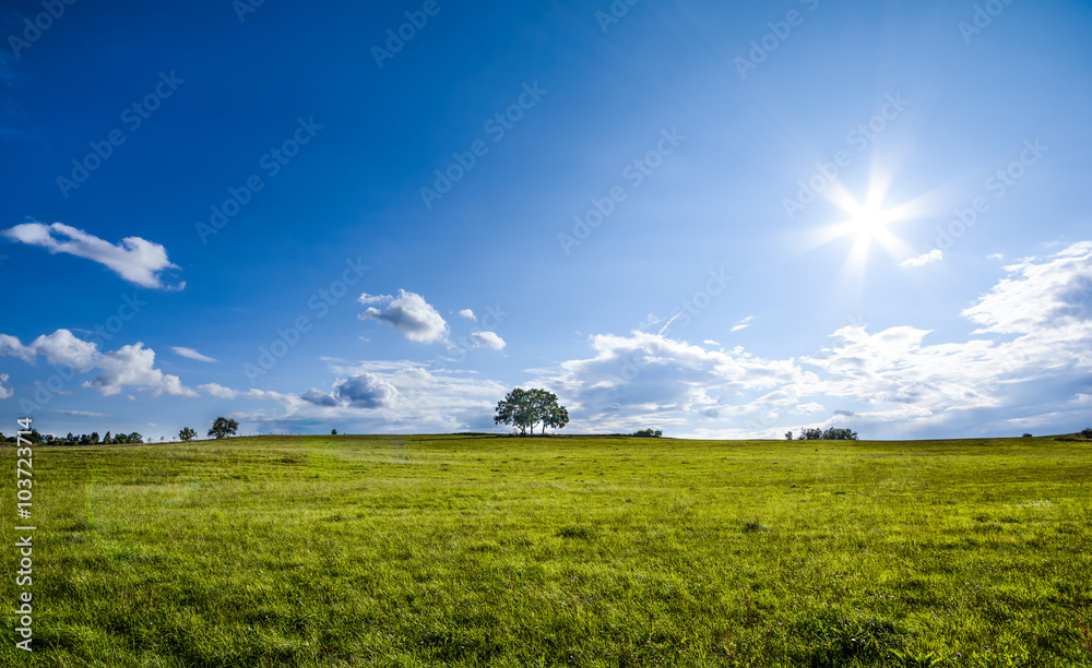 Naklejka premium piękny krajobraz z samotnym drzewem, chmurami i błękitnym niebem, wersja w naturalnych kolorach