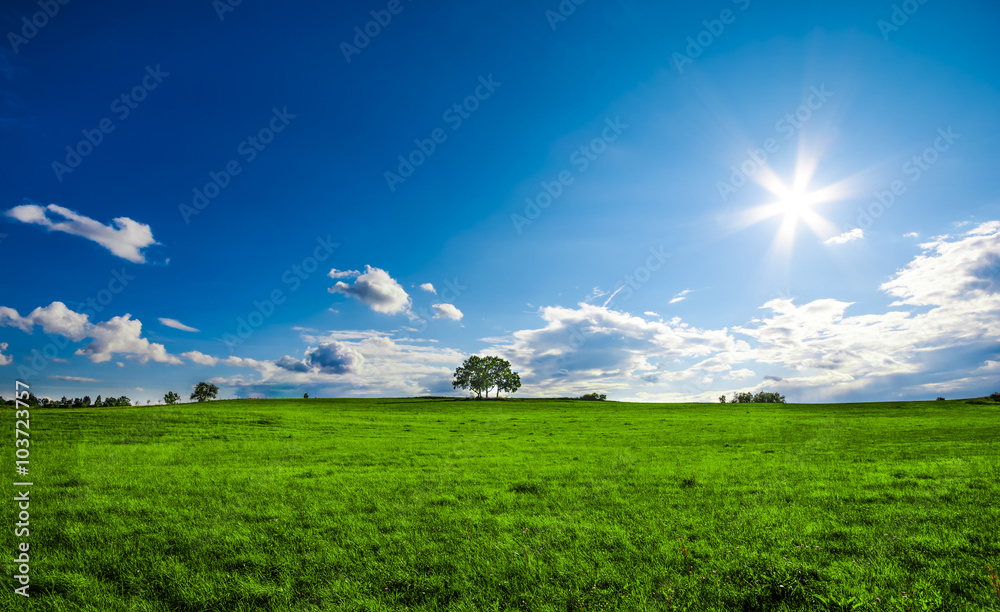 Fototapeta premium beautiful landscape with a lone tree, clouds and blue sky, version with vivid colors