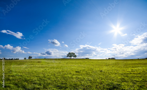 beautiful landscape with a lone tree, clouds and blue sky, version with natural colors photo