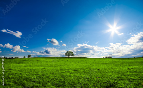 beautiful landscape with a lone tree, clouds and blue sky, version with vivid colors © jacomofl