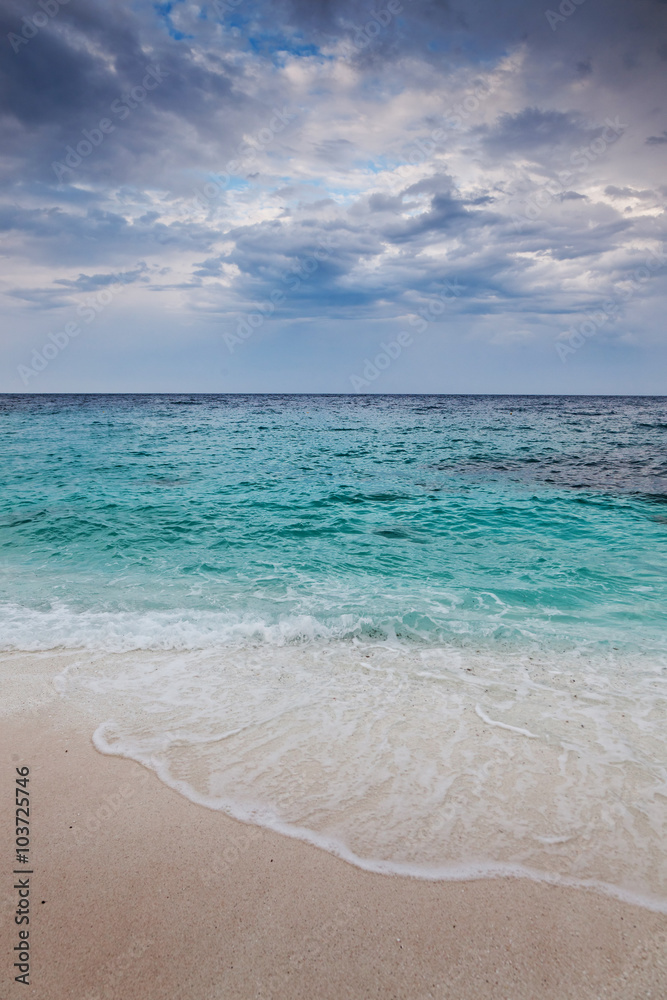 beautiful beach and tropical sea