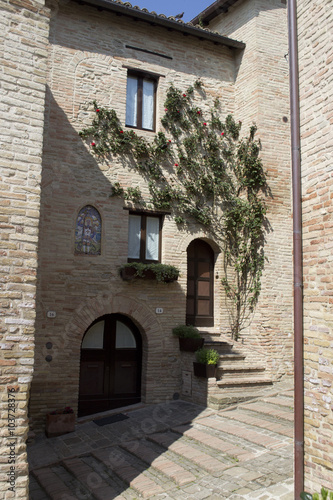 Fototapeta Naklejka Na Ścianę i Meble -  Serra de' Conti - Marche - Italia
