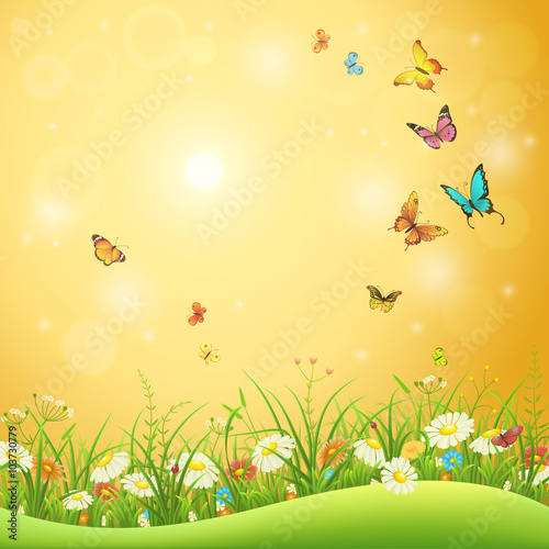 Spring or summer flowers, green grass and butterflies, nature background