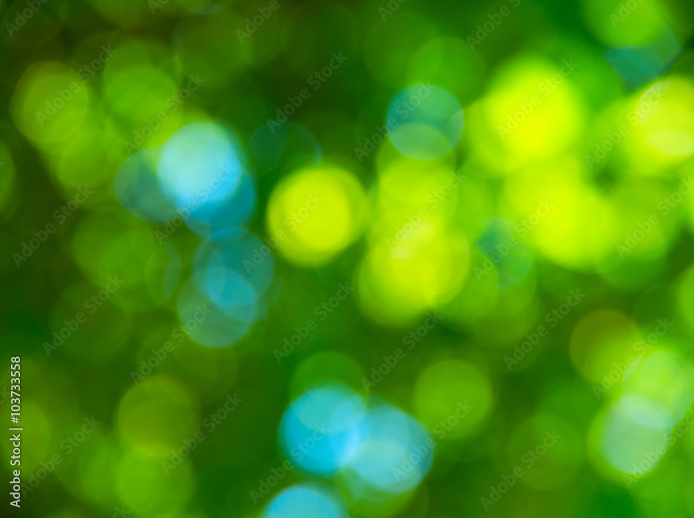 Obraz premium Natural blurred background.