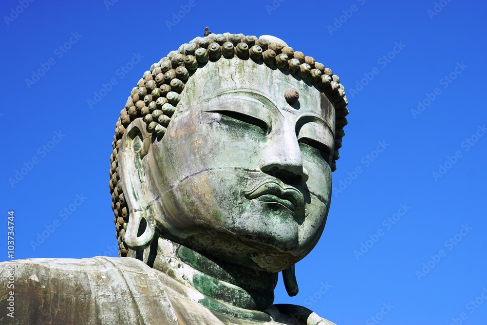 The Great Buddha of Kamakura (Daibutsu) in the Kotoku-in Temple 

