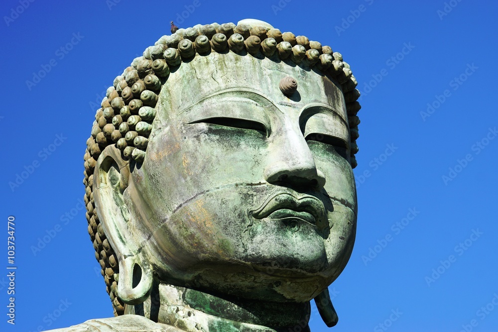 The Great Buddha of Kamakura (Daibutsu) in the Kotoku-in Temple
The Great Buddha of Kamakura (Daibutsu) in the Kotoku-in Temple