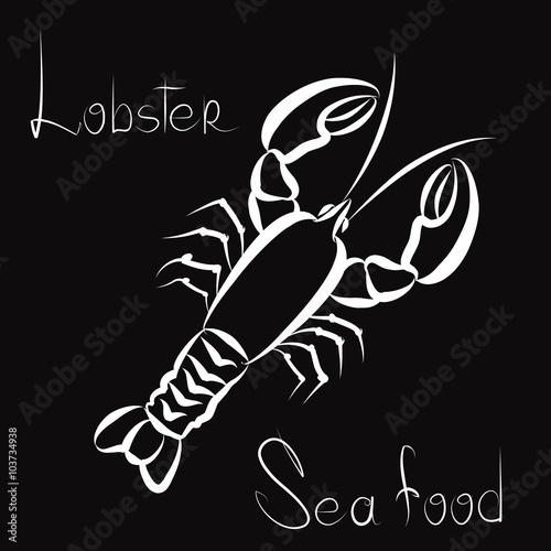 Seafood restaurant poster. Lobster icon. Sea food menu label. Fish restraunt  background.  photo