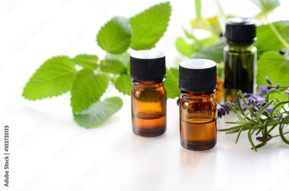 essential oils for aromatherapy treatment with herbs essential oils for aromatherapy treatment with herbs