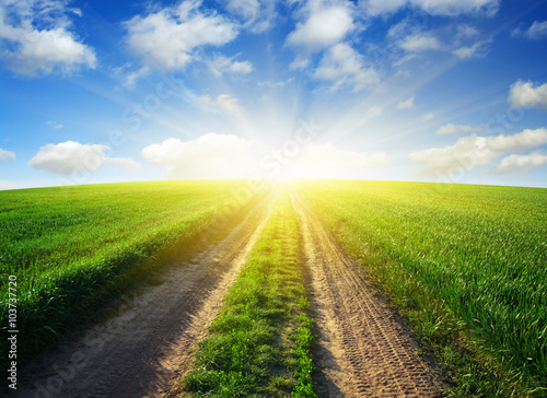 road in field