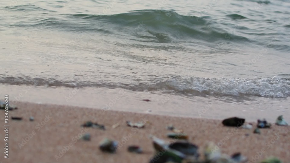 Sea surf at beach with stone and seashell Sea surf at beach with stone and seashell