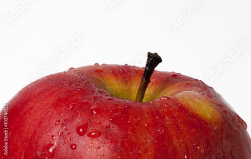 Red apple photo