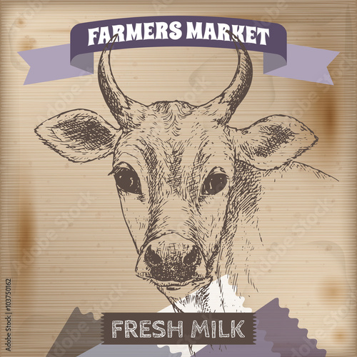 Vintage farmers market label with milk cow. 