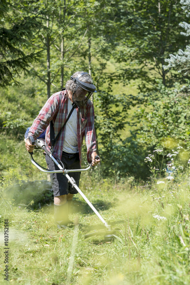 Person trimming the lawn with a weed eater