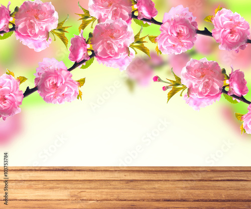 Pink sakura blossom and wooden table  spring background