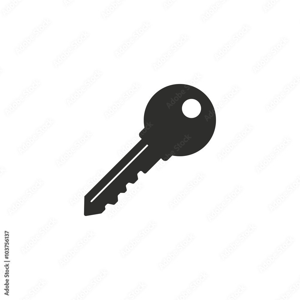 Key - vector icon. Key - vector icon.