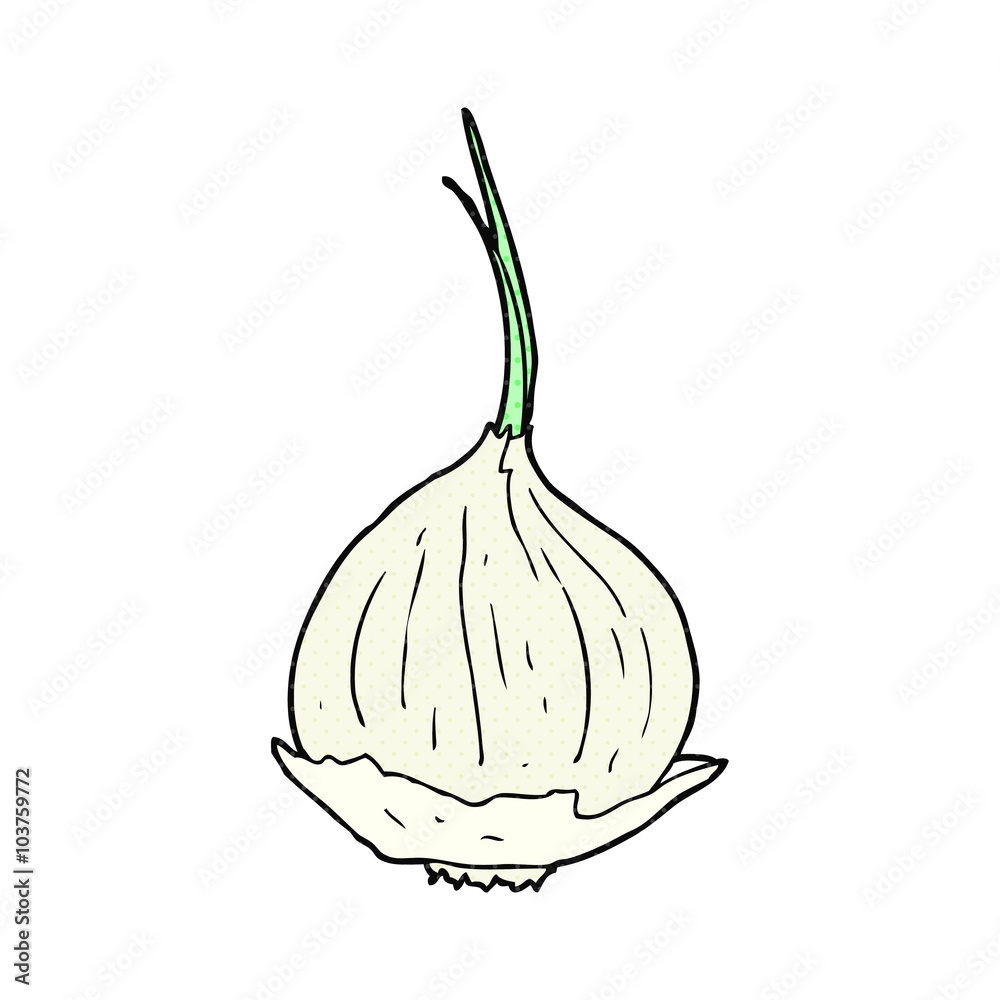 cartoon onion