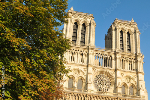 Notre Dame in Paris © Lucian Milasan