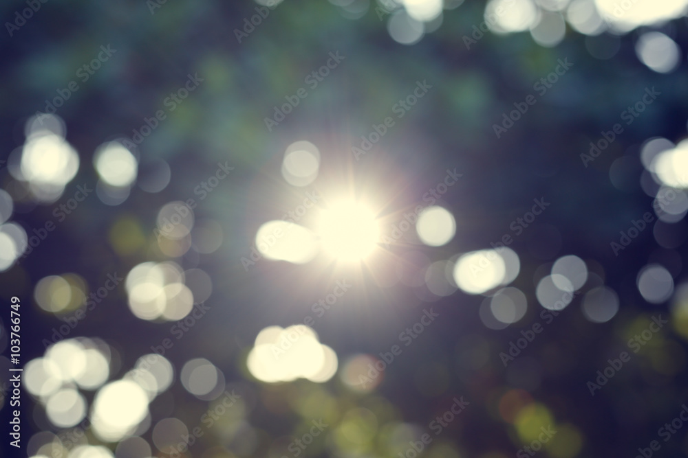 sunlight through leaves on tree, image blur bokeh background sunlight through leaves on tree, image blur bokeh background
