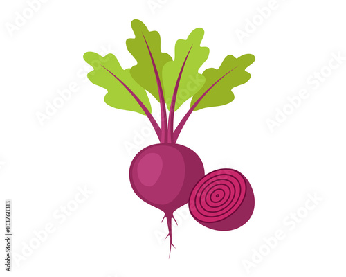 Flat icon beet with leaves and half of beet. Vector illustration.