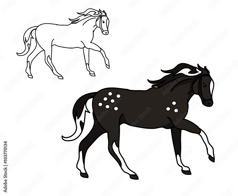 The graphic, abstract black lines. The drawing in color, in shades of gray - the black stallion in apples. A horse galloping. Vector illustration The graphic, abstract black lines. The drawing in color, in shades of gray - the black stallion in apples. A horse galloping. Vector illustration