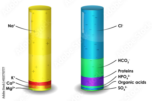 Human blood plasma ion composition